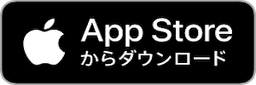 RAYSEEアプリAppleStoreダウンロード